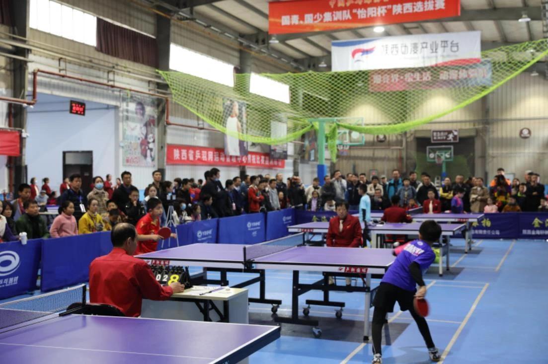 也有评论质 也有评论质